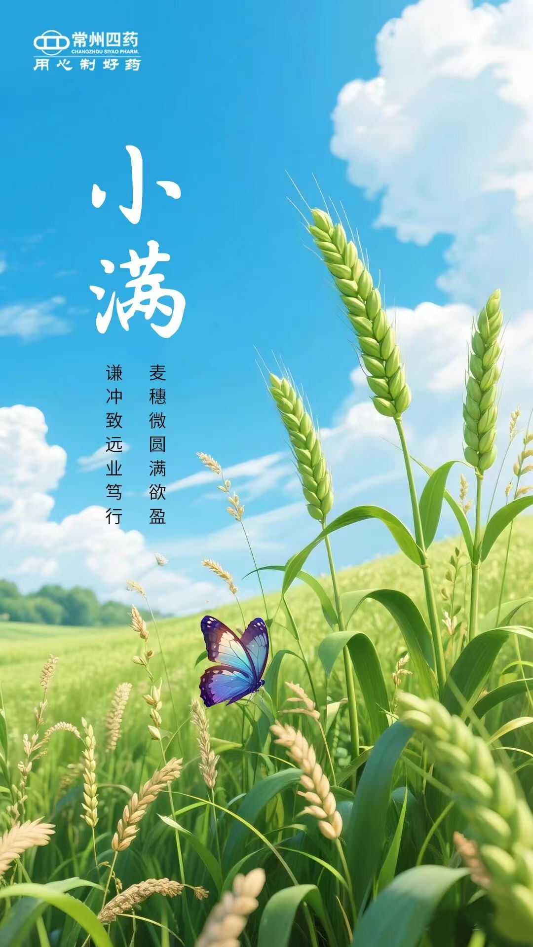 今日小滿 | 萬物小得盈滿，美好恰逢其時(shí)
